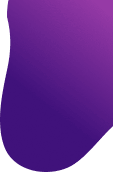 demo-attachment-487-Vector-Top-Background-1