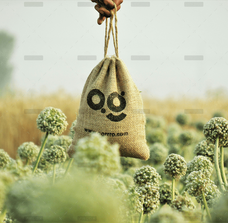 demo-attachment-2665-agrrro-organic-vArBGqX_EtY-unsplash-1-1